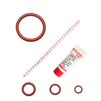 Saeco Reinigungs- Wartungskit für die Saeco Brühgruppe XL